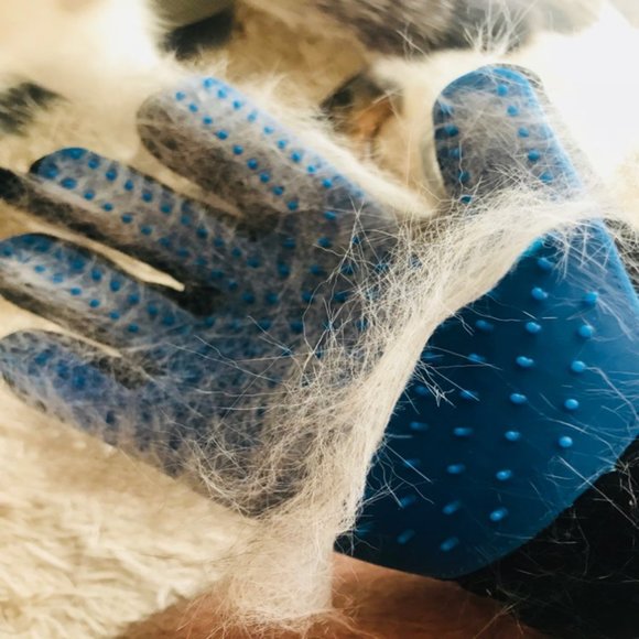 Pets Hair Removal Grooming Gloves - Picture 3 of 13